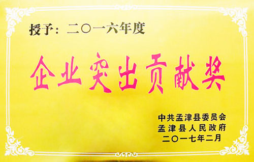 隆华节能荣获孟津县2016年度“企业突出贡献奖”荣誉称号