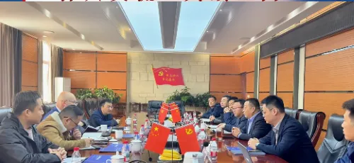 土耳其FurAySin公司联合创始人Sinan Lütfi ERGÜN先生与首席工程师Metin Bilginer先生到访隆华科技集团